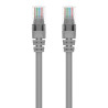 Belkin – Câble réseau Ethernet RJ45 CAT6 UTP plaqué or, gris (1 à 15 mètres)